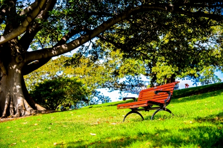 Red bench in the parkの写真素材