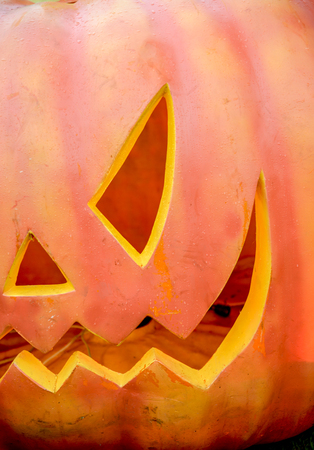 Halloween pumpkinの写真素材