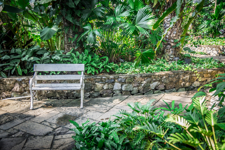 White wood chair in the garden2の写真素材