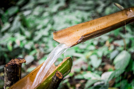 Water splash from bamboo to bamboo3の写真素材
