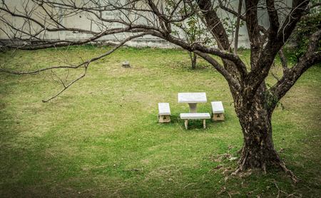 Stone chairs and Table set with dead tree in the gardenの写真素材