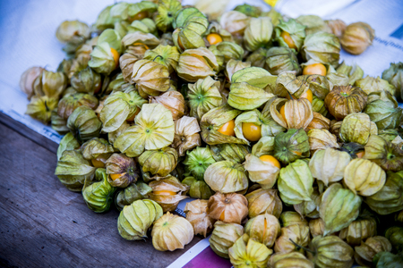 Cape gooseberry for sale2の写真素材