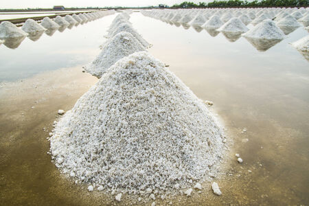 Row of pile salt in salt farm