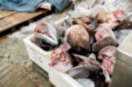 A lot of Tuna in Blur styleの写真素材