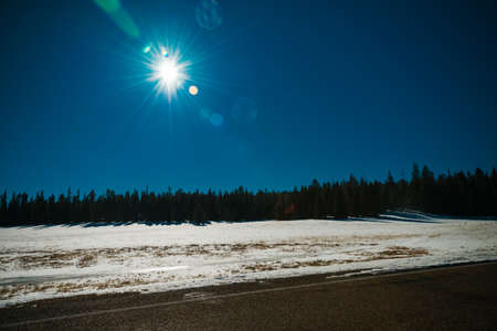 Sun shine and sun flare and the forest in dark conceptの写真素材