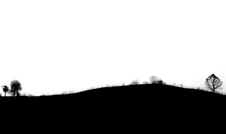 Black and white silhouette trees and grasses on mountainの写真素材