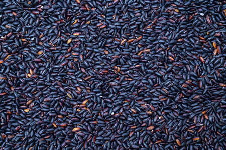 Black rice top view background. Grain background.の写真素材
