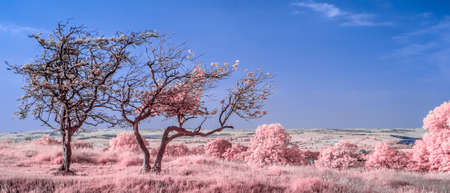 View from Hadrian's Wallの写真素材