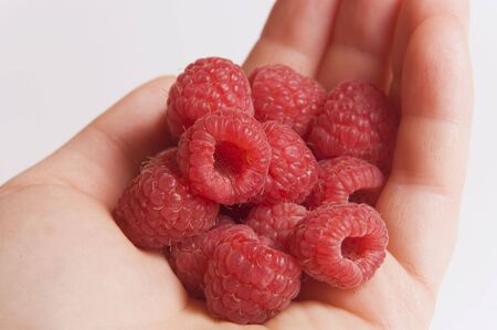 pile of red raspberries in woman's palm