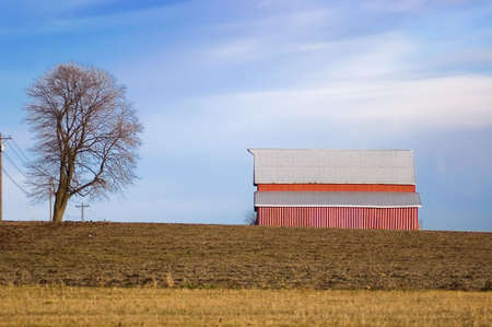 Red Barn and Tree on Winter Farmlandの写真素材