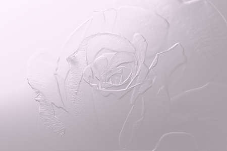 Pink metallic background with Rose reliefの写真素材