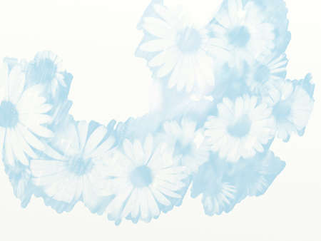 Watercolor style blue demorphoseca backgroundの写真素材