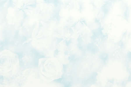 Airbrush-like delphinium and rose blue backgroundの写真素材