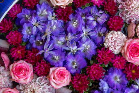 Heart pattern made of blue delphinium flowers. Creative layout made of flowers. Flat ray. The concept of nature. Floral greeting card. Colorful spring flower background.の写真素材