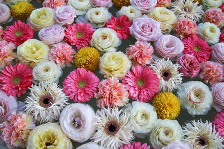 Flower arrangement of carnations, roses and gerberas. Pink, yellow and white flowers floating on the water.の写真素材