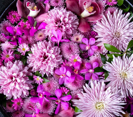 Orchids, dahlias, spray mum. Flower arrangement of pink flowersの写真素材