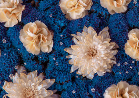 Flower arrangement of dahlias, Statice and carnationsの写真素材