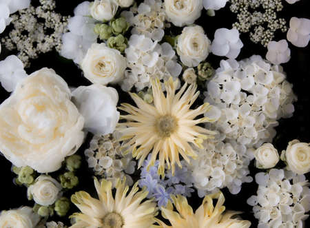 Flower arrangement of white flowers. Roses, hydrangeas, gerberas, peony.の写真素材