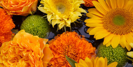 Flower Arrangement of Sunflowers and Green Mumsの写真素材