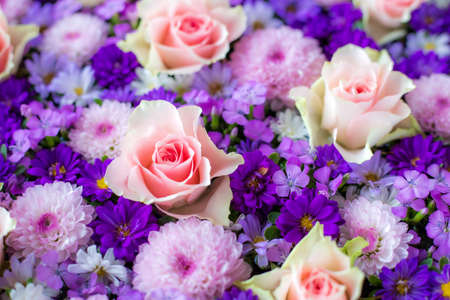 Roses, Mums and Dianthus. Arrangement of pink and purple flowers.の写真素材