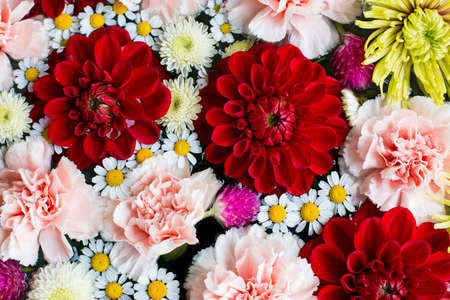Flower arrangement of dahlias, carnations and mums. Red, pink, and white flowers floating on the water.の写真素材