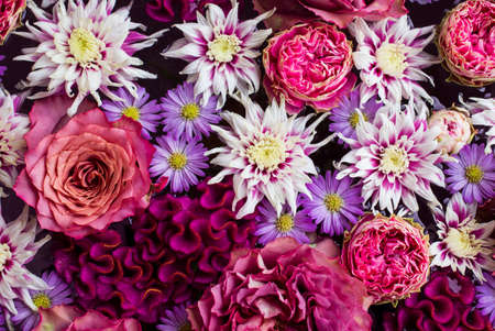 Flower arrangement of Cockscomb, roses, dahlias, and asters. Pink flowers floating on water.の写真素材