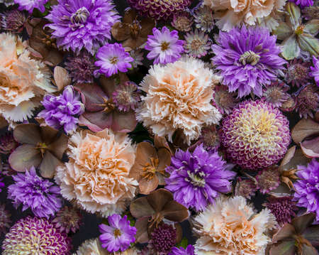 Flower arrangement of carnations, hellebore, clematis, and mums. Purple and beige flowers floating on water.の写真素材
