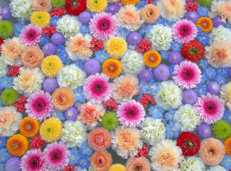 Pastel colored flowers floating on water. Carnations, ranunculus, mums.の写真素材