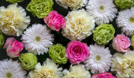 White, pink, and green flowers floating on water. Roses, gerberas, carnations.の写真素材