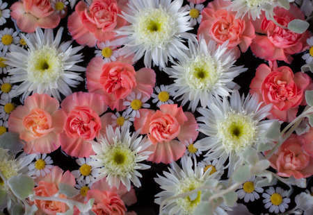 Full frame shot of pink and white flowers.  Carnations and gerberas floating on Waterの写真素材