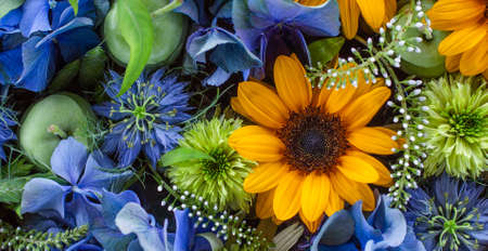 Full frame shot of flowers.  Nigella, sunflower adn apples floating on Waterの写真素材