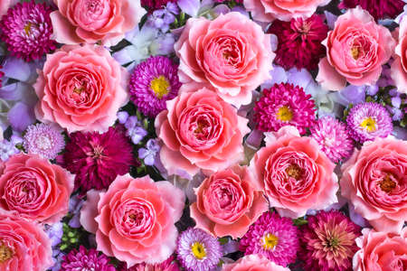 Full frame shot of  pink and purple flowers.の写真素材