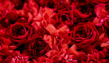 Full frame shot of red flowers.の写真素材
