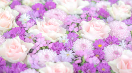 Roses, Mums and Dianthus. Arrangement of pink flowersの写真素材