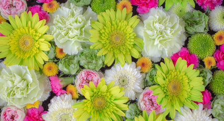 Full frame shot of green, white and pink flowers.の写真素材