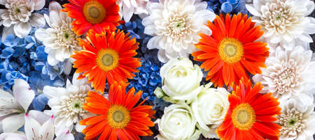 Full frame shot of blue, white and red flowersの写真素材