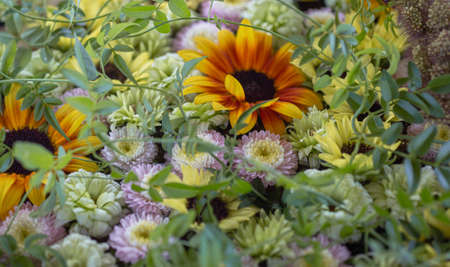 Flower Arrangement of Leaves and Sunflowersの写真素材