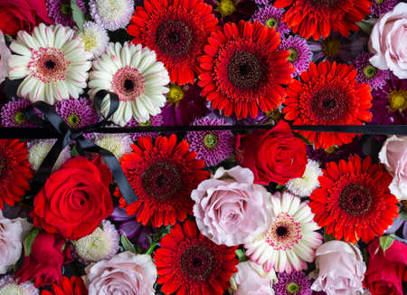 Full frame shot of red, pink and white flowers.の写真素材