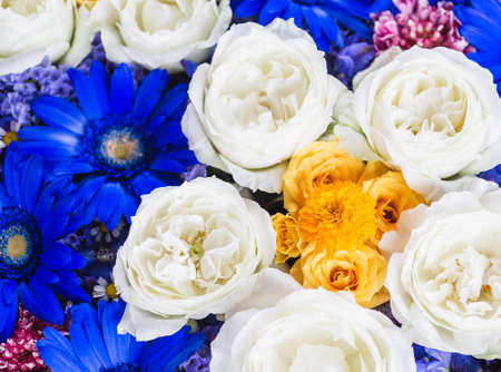 Composition of blue and white flowersの写真素材