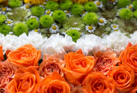 Composition of orange, white and green flowersの写真素材