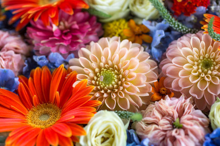 Floral texture made of colorful flowers of gerbera, carnation, dahlia and delphinium.の写真素材