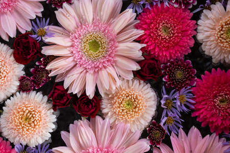 Composition of pink and red flowersの写真素材