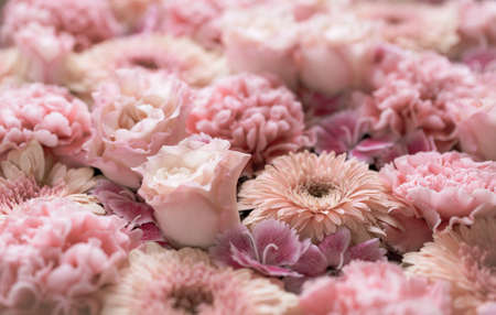Floral background in retro tones (roses, mums, carnations)の写真素材
