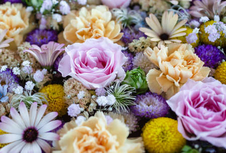 Background made of colorful flowers of rose, mum and carnation.の写真素材