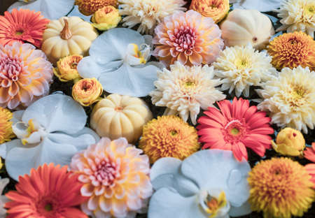 Flowers composition in vintage color tone. Floral texture made of yellow and white flower.の写真素材