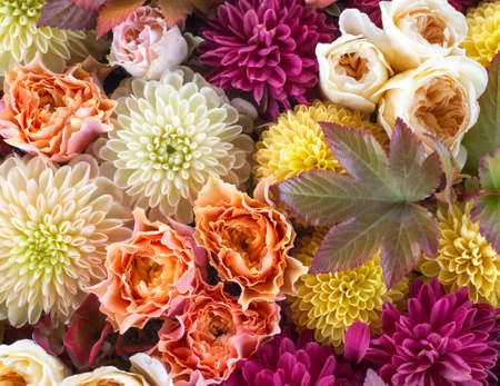 Autumn flowers. Warm color flower arrangementの写真素材