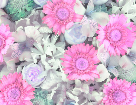 Composition of white and pink flowersの写真素材
