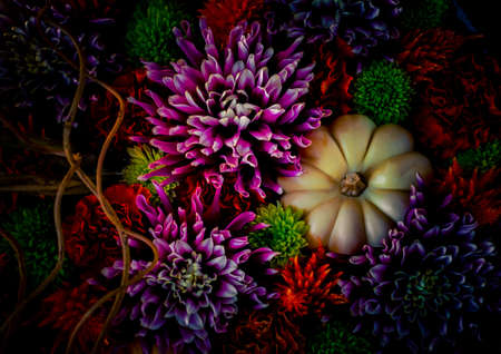 Background for Halloween with flowers and pumpkinの写真素材