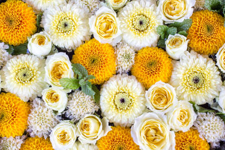 Composition of yellow and white flowersの写真素材