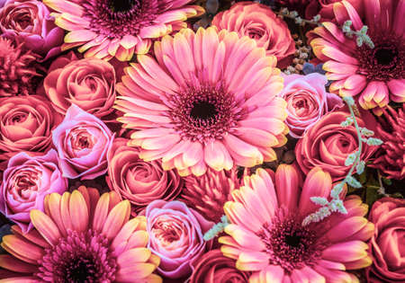 Floral wall texture made of fresh roses and gerbera flowers, tonedの写真素材